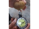 kiwi fruit