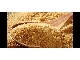 Brazilian  Sugar ICUMSA 600/1200