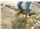 Use of Geogrid for passing swampy areas