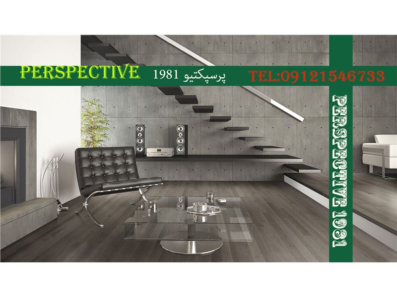 PERSPECTIVE1981