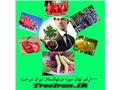 new adress website irantree
