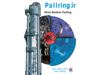 packing pall ring