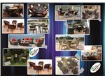 out door furniture