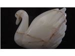 Swan