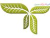 Arya Green Energy