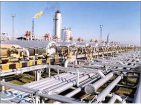 Oil