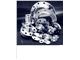 stainless steel pipe fittings