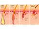 Cosmedico skinPULSE 900 RF IPL-RF