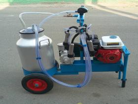 Petrol type cow milking machine