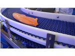 Food grade Conveyor belts