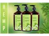 Amir Hemp Seed Oil Moisturizer
