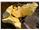 Seller Sulphur/ Seller Sulfur