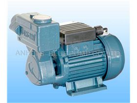 Clear Water Self-Priming Pump Model NO.: EGP-35
