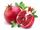 Export of Organic Fruit