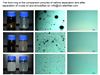 Emulsified Oil Separation Membrane