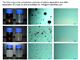 Emulsified Oil Separation Membrane