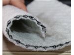 Geonet (30 cm width)