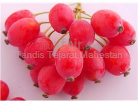 Barberry Juice Concentrate