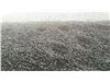 WOOD CHARCOAL , LEAD ORE, CASHEW NUT ALL AGRO PRODUCTS