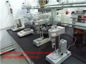 polyanionic cellulose  PAC