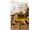 Amir argan oil BODY WASH