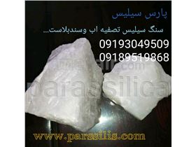 Parssilis