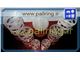 packing pall ring