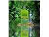 Malibu Tan Cucumber Jasmine Scent Hemp