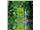 Malibu Tan Cucumber Jasmine Scent Hemp