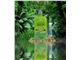 Malibu Tan Cucumber Jasmine Scent Hemp